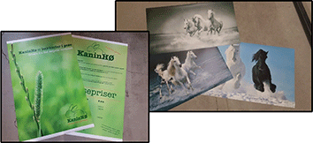 Events Banner Skilte Design Randers - vægbilleder - plakater - lærredsbilleder